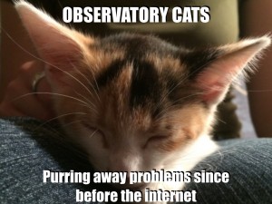 @ObservatoryCats