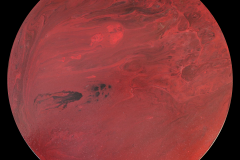 A11-016- Blood Moon