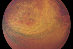 A11-031-Hot-Jupiter-Polar-Vortices