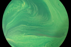 A11-032-Variations-on-Venus