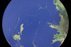 W6.5-00x- Rough Earth