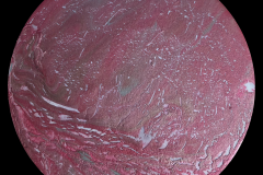 W6.5-015-Fissured Planet in Red