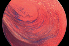 A6-016- Hot Jupiter Polar Vortices