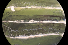 A6-035-Of-Green